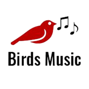 birdsmusic.com.br